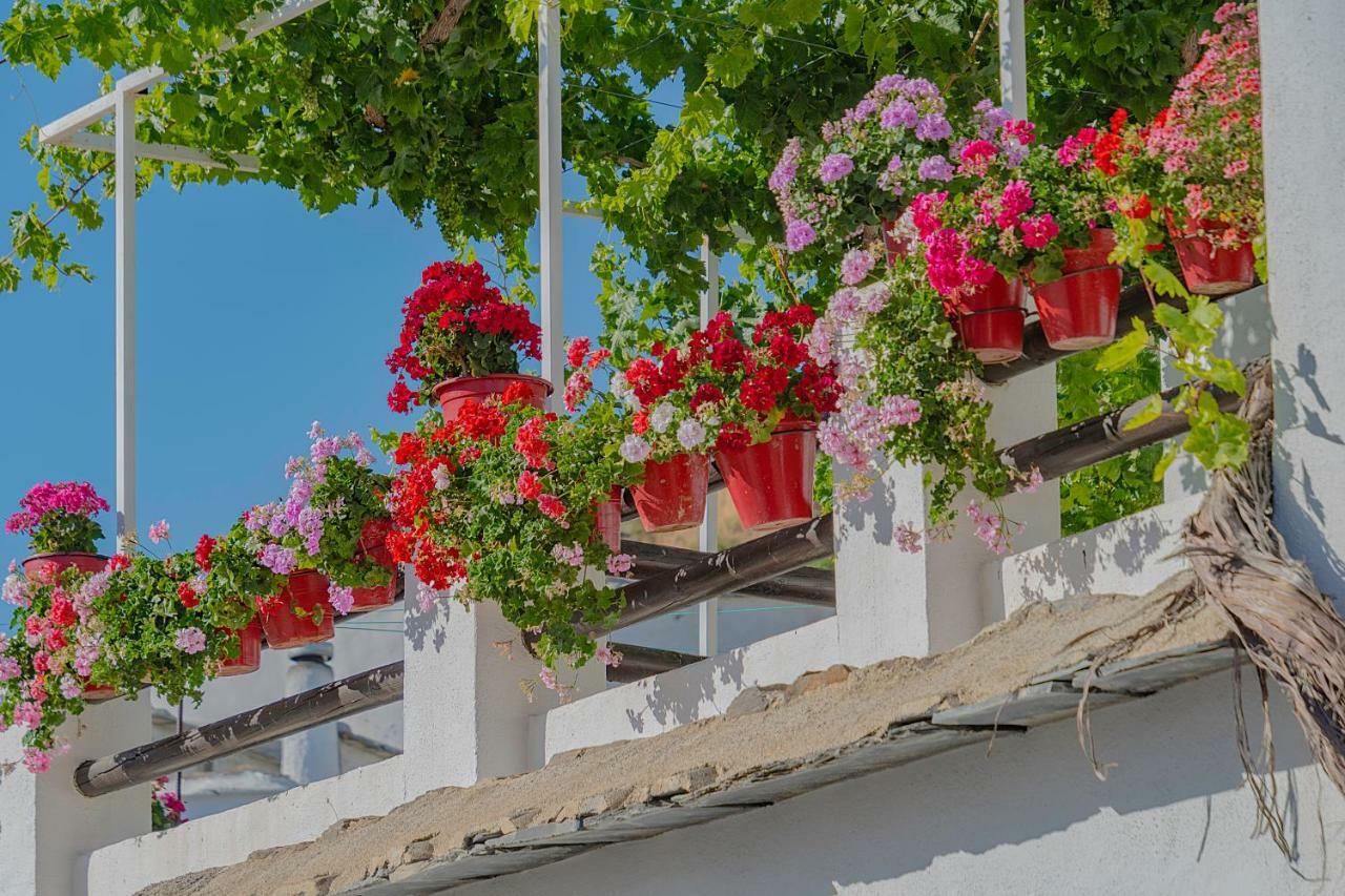 Apartamentos Rurales Las Chimeneas กาปีเลย์รา ภายนอก รูปภาพ